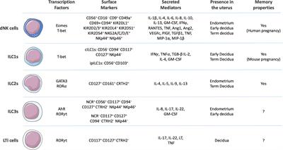 Emerging Concepts in Innate Lymphoid Cells, Memory, and Reproduction